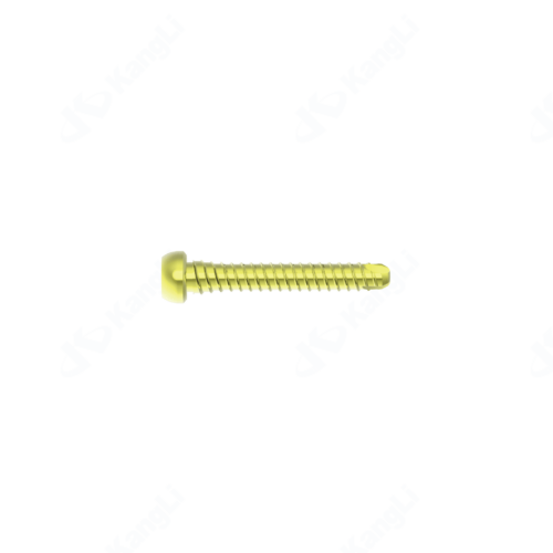 Φ4.5 Holding Type DoubleThread Locking Screw