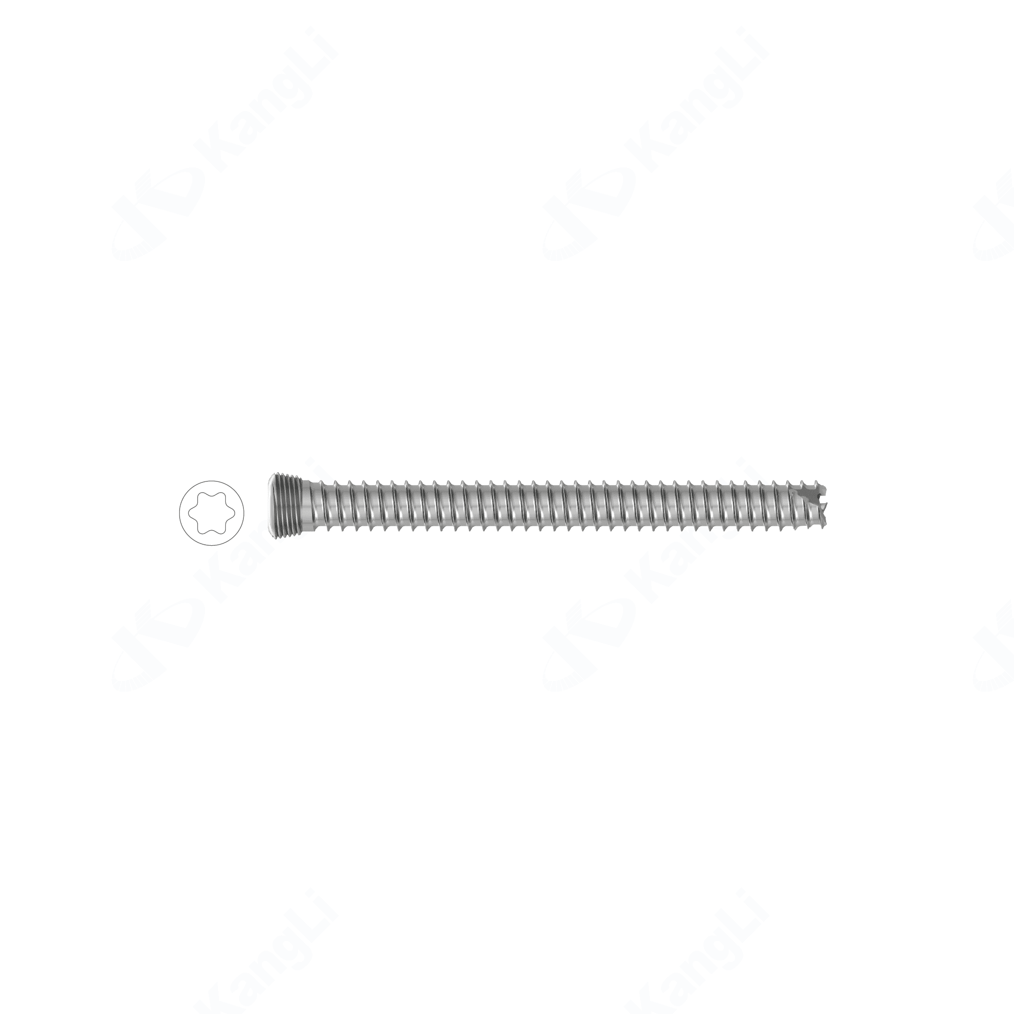 6.5 Torx Hollow Locking Screw