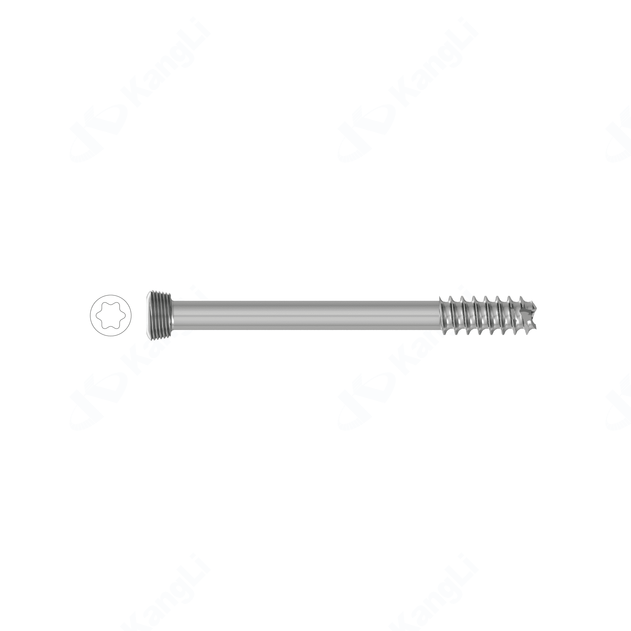 7.0 Torx Hollow Locking Screw