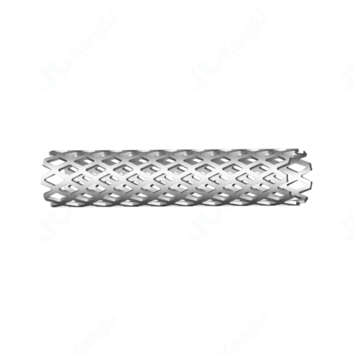 Titanium Mesh