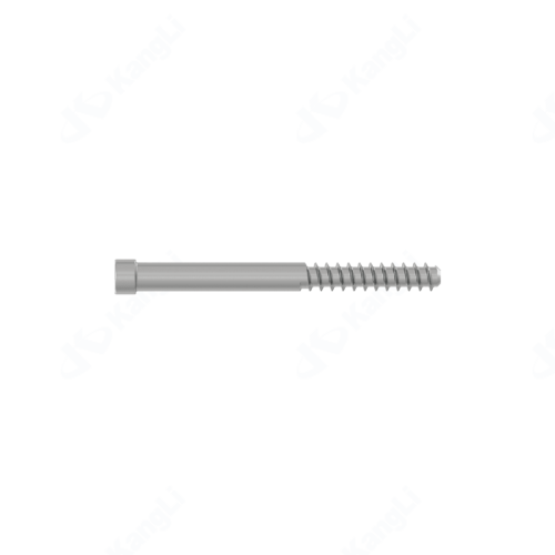Anti-Rotation Screw